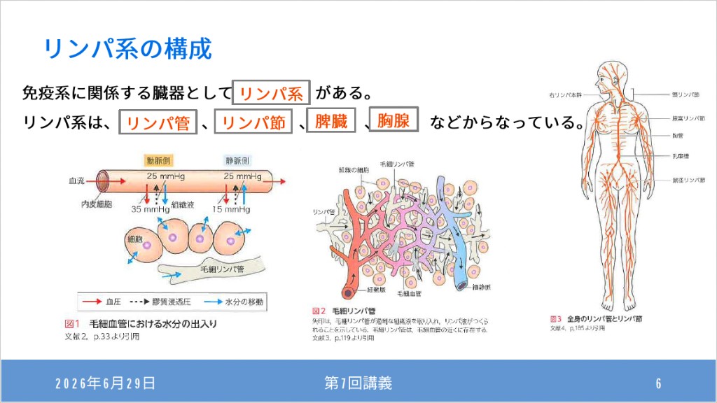 解剖生理学 講義スライド